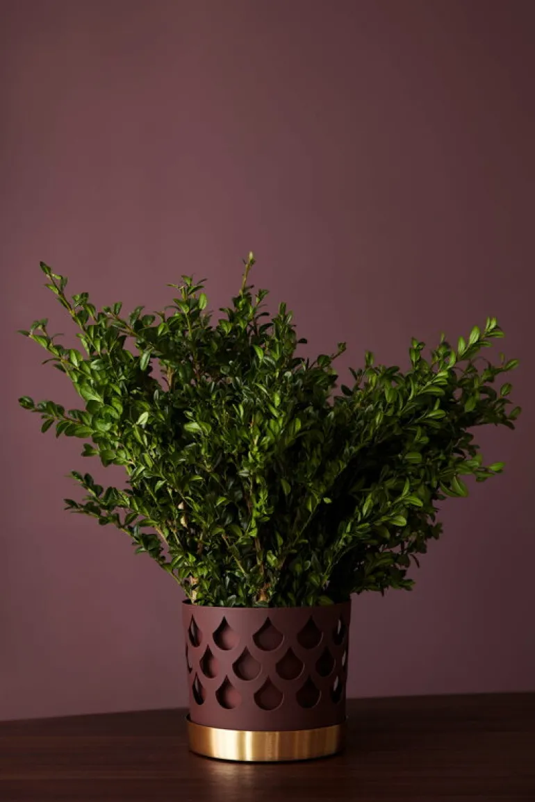 Klong Trio liten blomkruka, mörkröd