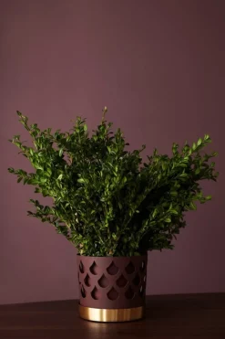 Klong Trio medium blomkruka, mörkröd