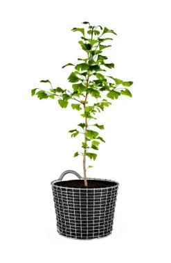 Korbo Bin 16 trådkorg, syrafast rostfritt stål