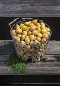 Korbo Bucket 24 trådkorg, syrafast rostfritt stål