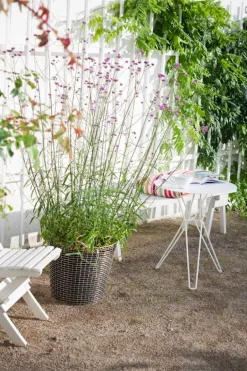 Korbo Classic 65 trådkorg, syrafast rostfritt stål