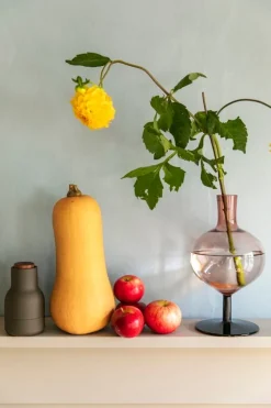 Kosta Boda Bod flaska, 230 mm, vinröd - kork