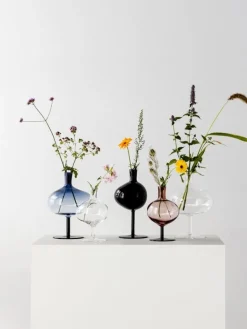 Kosta Boda Bod flaska, 230 mm, vinröd - kork