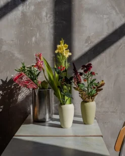 Lokal Helsinki Silmu vas, ljusgul