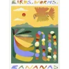 MADO Birds, Worms, Bananas poster