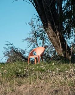 Magis Bell stol, sunrise