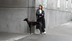 Masimalo 3D Knit halsband, aubergine - lava