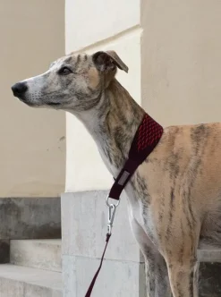 Masimalo 3D Knit halsband, aubergine - lava