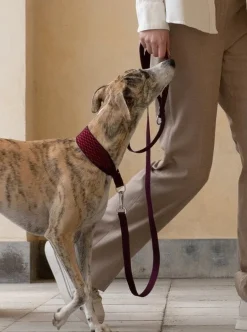 Masimalo 3D Knit halsband, aubergine - lava