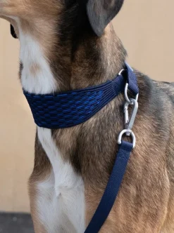 Masimalo 3D Knit koppel, navy - kunglig blå