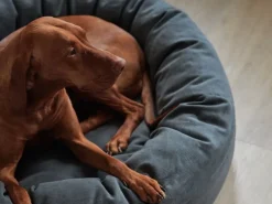 Matri Hundbädd, M, Wooly, grafit