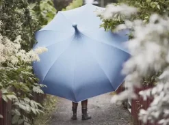 Mirlo Parasoll, lila