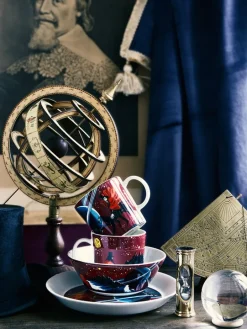 Moomin Arabia Muminskål, Trollkarlen