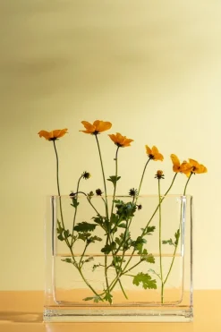 Nedre Foss Monoblokk vas, klart glas