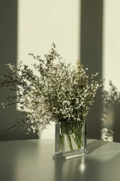 Nedre Foss Monoblokk vas, klart glas