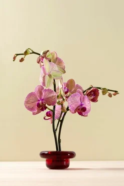 Nedre Foss Sirkel värmeljushållare, röd