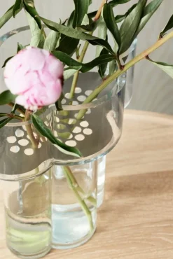 Northern Fab vas, transparent