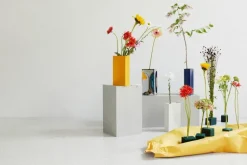 Northern Into vas, gul