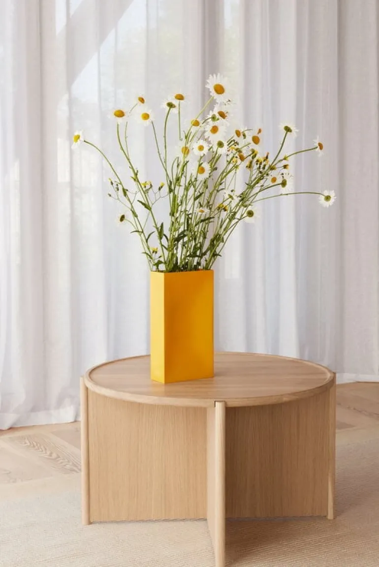 Northern Into vas, gul