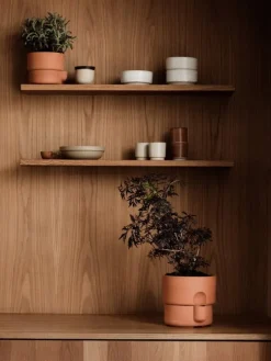 Northern Oasis blomkruka, medium, terrakotta