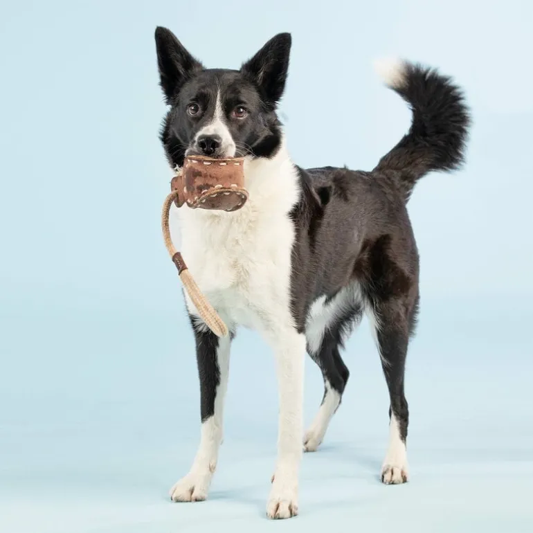 PAIKKA Boll Dragleksak