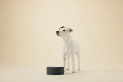 PAIKKA Cool skål, M, svart