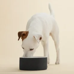 PAIKKA Cool skål, M, svart