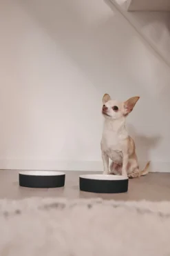 PAIKKA Cool skål, XS, svart