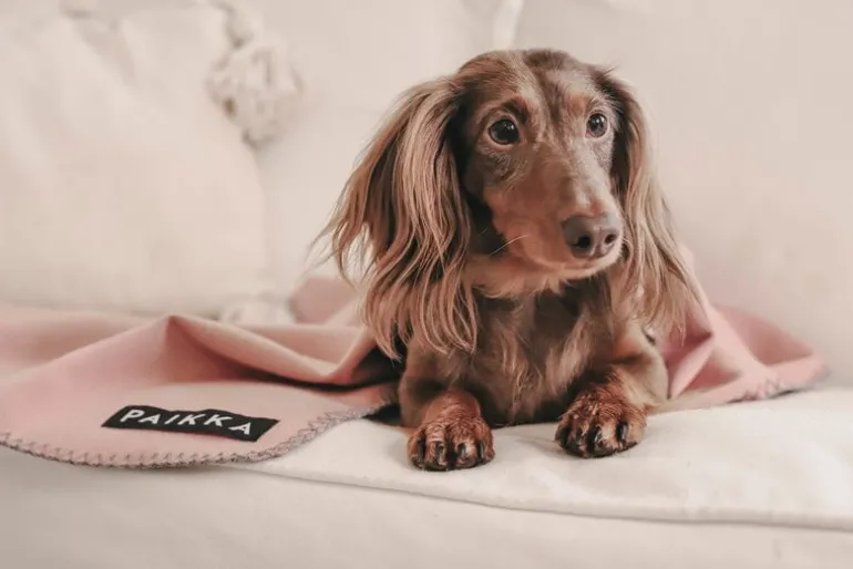 PAIKKA Recovery filt, rosa