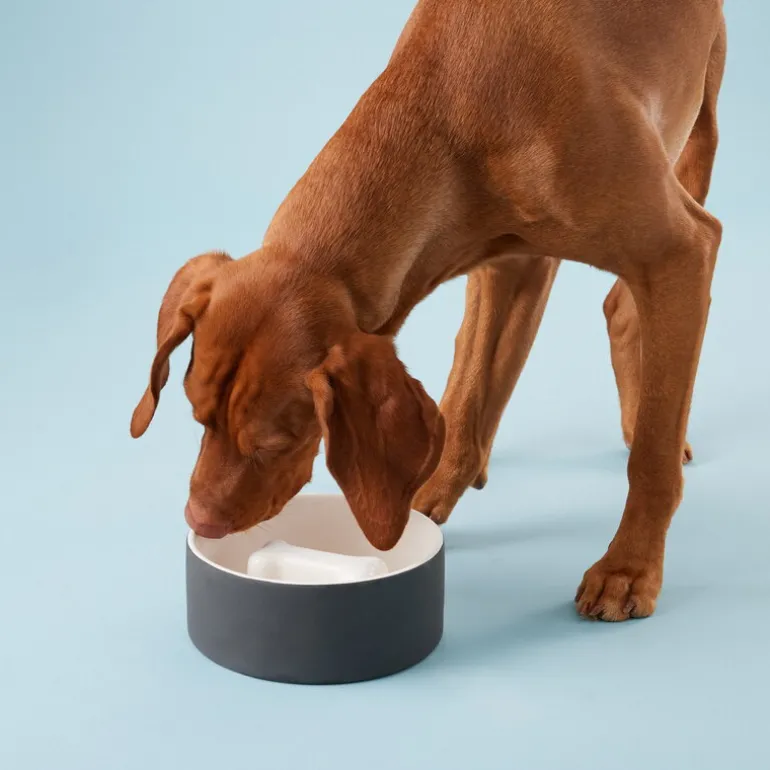 PAIKKA Slow Feed skål, L, svart