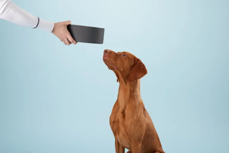 PAIKKA Slow Feed skål, L, svart