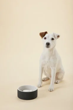 PAIKKA Slow Feed skål, S, svart