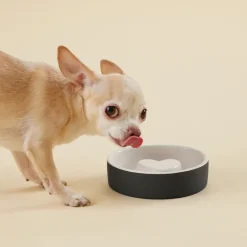 PAIKKA Slow Feed skål, XS, svart