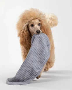 PAIKKA Torkhandduk, 30 x 50 cm, grå