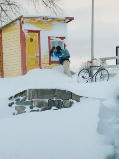 Pelago Bicycles Bristol cykel, M, svart