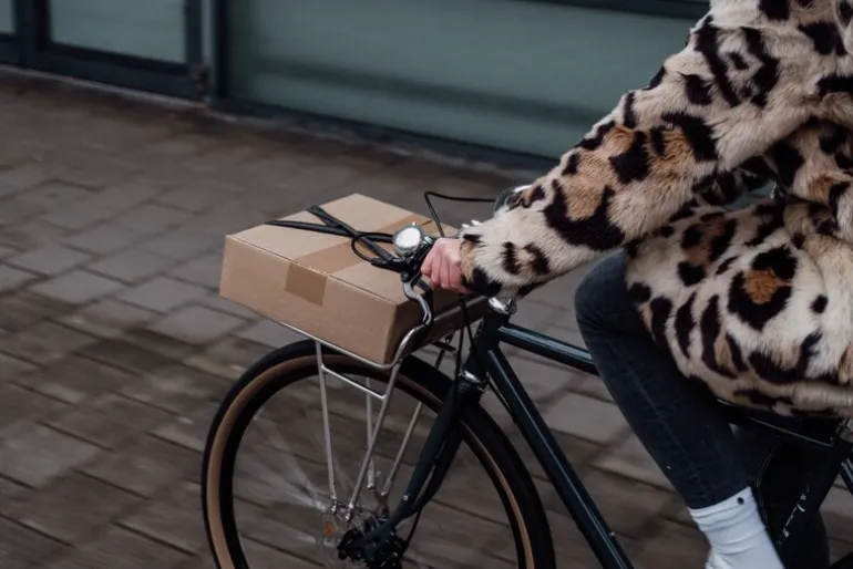 Pelago Bicycles Commuter Front Rack, L, polerat aluminium