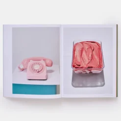 Phaidon The River Cafe Look Book, Recipes for Kids of all Ages