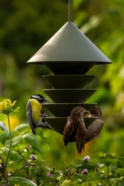 Pidät Bird Silo fågelmatare, grön