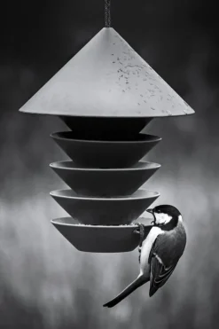 Pidät Bird Silo fågelmatare, terracotta