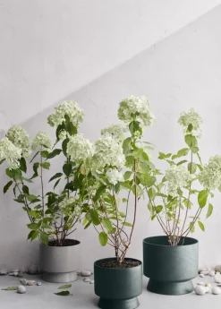 Rosendahl Blomkruka, 24 cm, grön