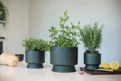 Rosendahl Blomkruka, 15 cm, grön