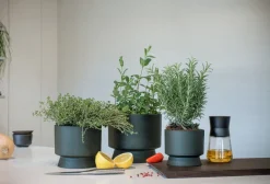 Rosendahl Blomkruka, 12 cm, grön