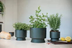 Rosendahl Blomkruka, 12 cm, grön