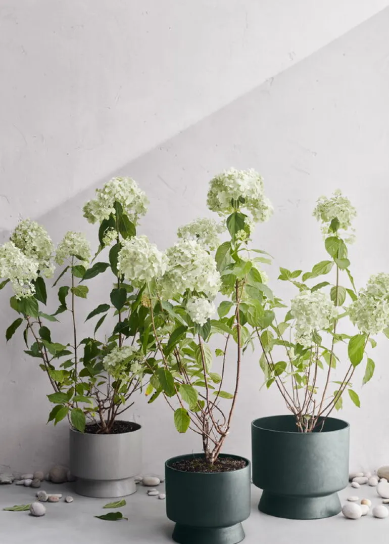 Rosendahl Blomkruka, 24 cm, sand