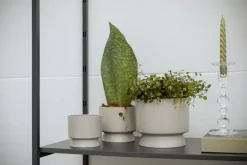 Rosendahl Blomkruka, 15 cm, sand