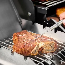 Rösle Gourmet stektermometer, 22 cm, stål