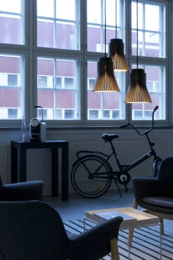 Secto Design Petite 4600 pendellampa, svart