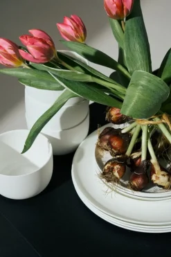 Serax Base, tallriksset, vitt, 12 delar