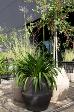 Serax Construct kruka, S, beige