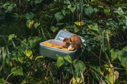 SIGG SIGG Metal Box Plus, L, aluminium